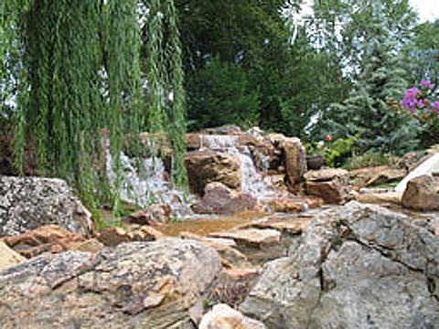 IMG_0387.jpg